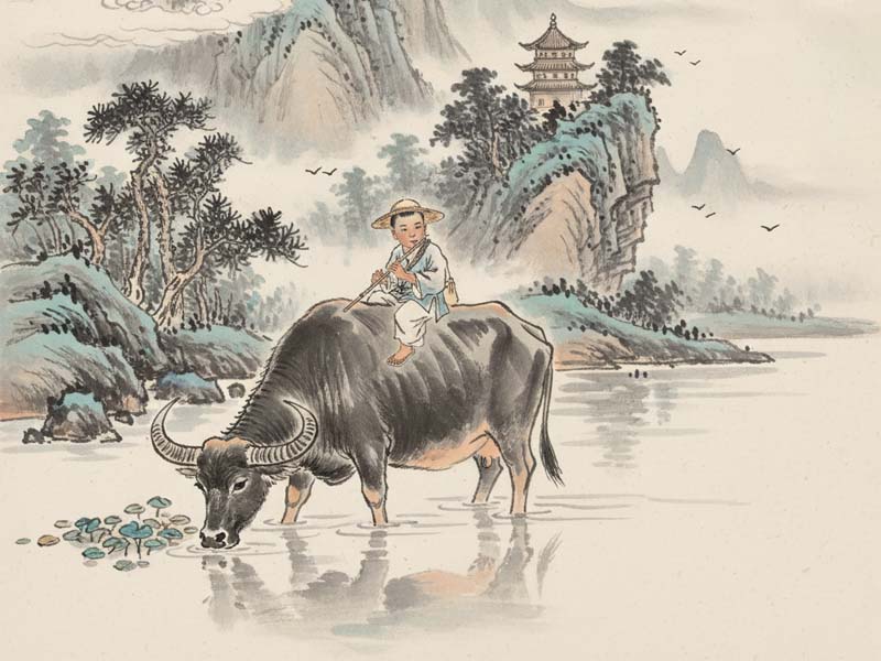 Âm Dương Nghịch Lý chủ sự mâu thuẫn nội tại, thử thách trong cuộc đời