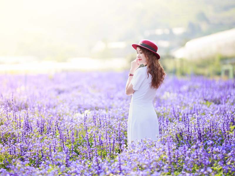 Cung Phúc Đức cho biết phúc phần, thịnh suy và đời sống tinh thần