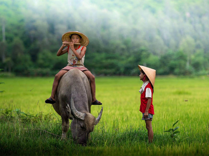 Sao Tuần chủ sự cản trở, bế tắc, chậm chạp và trì trệ