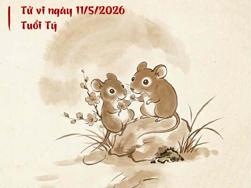 Tử vi 12 con giáp ngày 11/5/2026, Thìn vạn sự hanh thông, Mão cảnh giác sóng gió